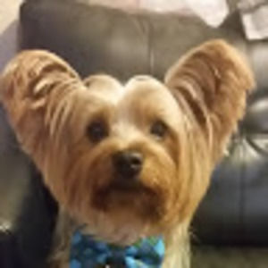 Meet your Posher, Elena